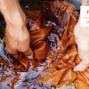 CURSO PRESENCIAL | INICIAÇÃO À TINTURARIA NATURAL